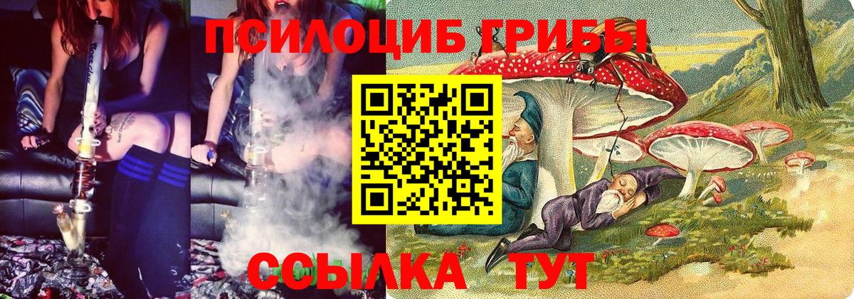 Галлюциногенные грибы GOLDEN TEACHER Нарткала