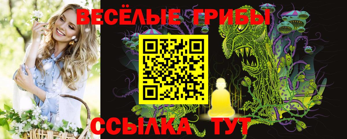 APVP Нарткала