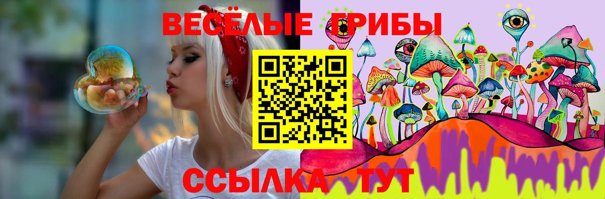 Псилоцибиновые грибы MAGIC MUSHROOMS  Вход с VPN  Нарткала  Галлюциногенные грибы прущие грибы 